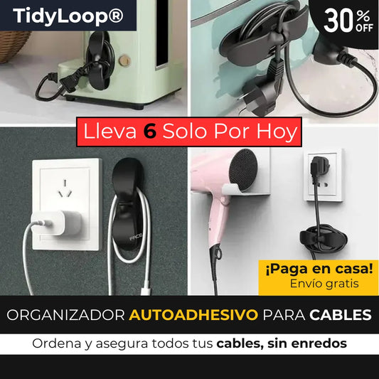 TidyLoop
