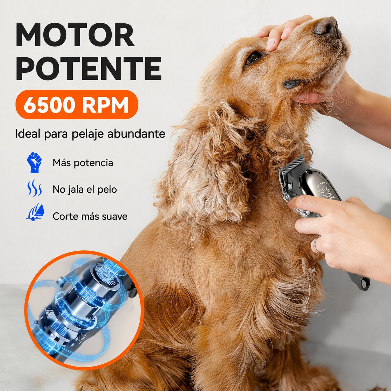Kit de Peluquería para Perros y Gatos  Recargable
